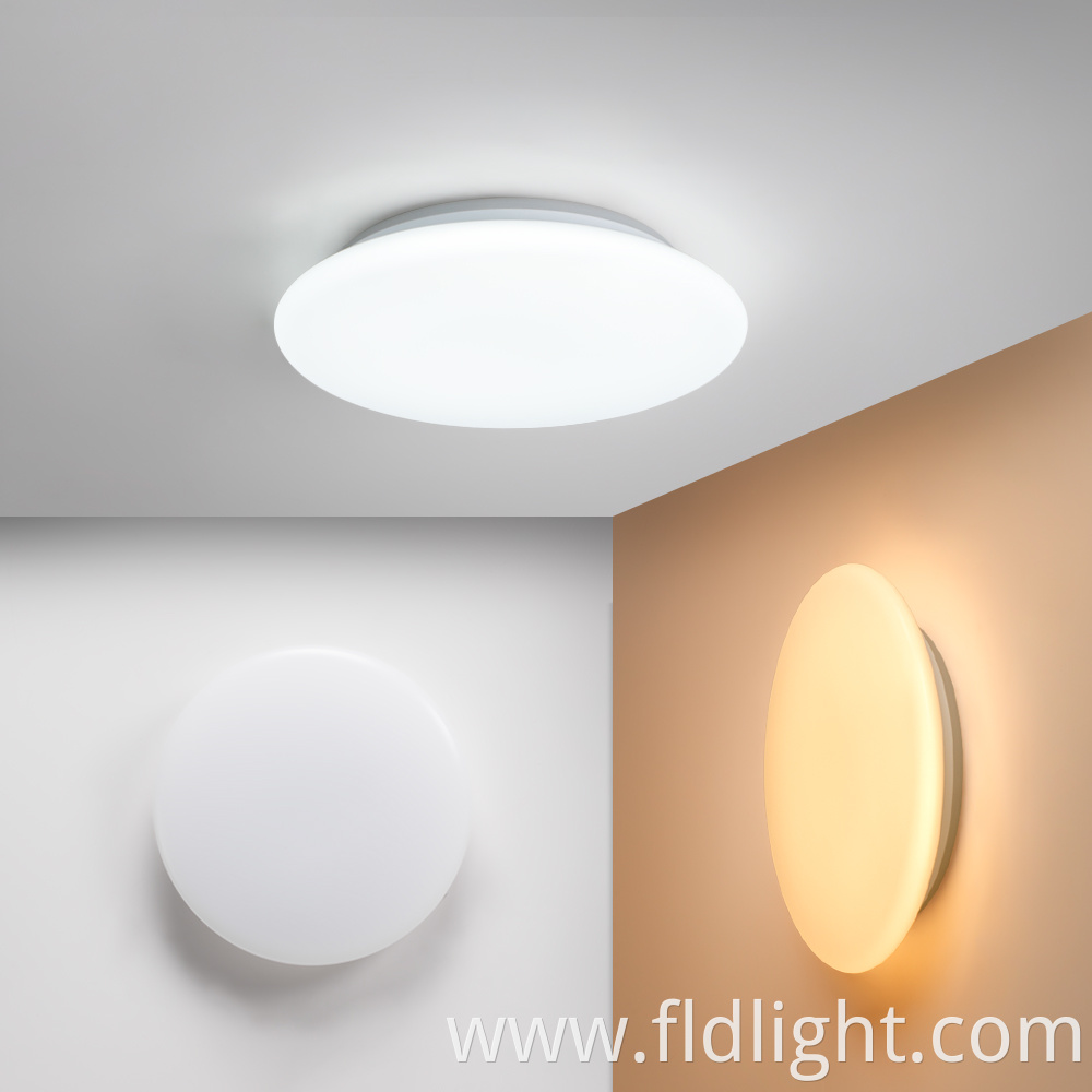 Smart App Alexa Dimmable Light Fixture